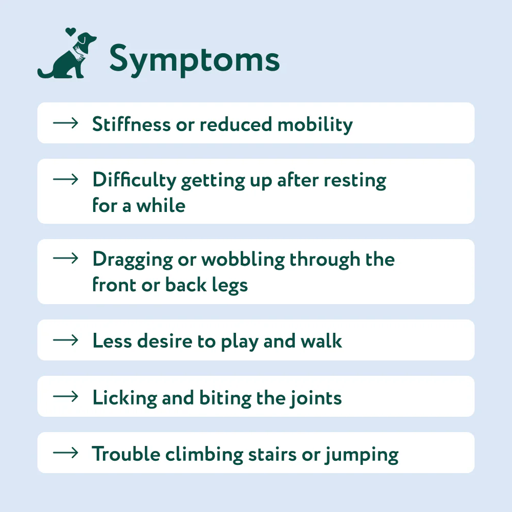 Hip & Joint 🌿 100% natural 🫙 60 soft chews - Image 3