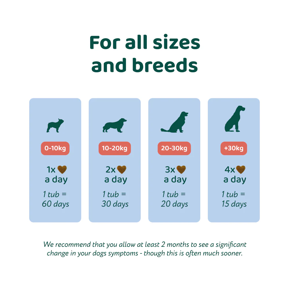 Hip & Joint 🌿 100% natural 🫙 60 soft chews - Image 4