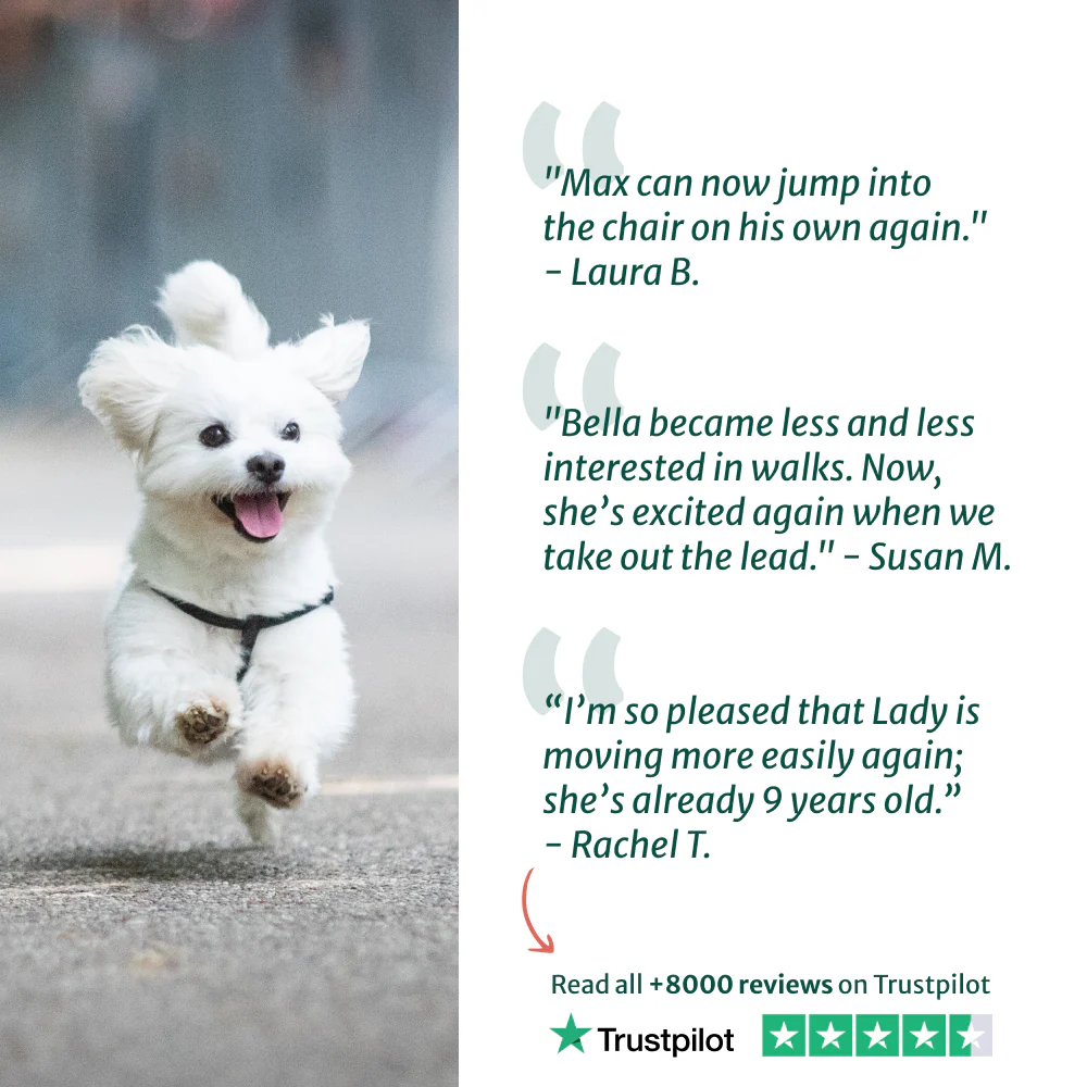 Hip & Joint 🌿 100% natural 🫙 60 soft chews - Image 5