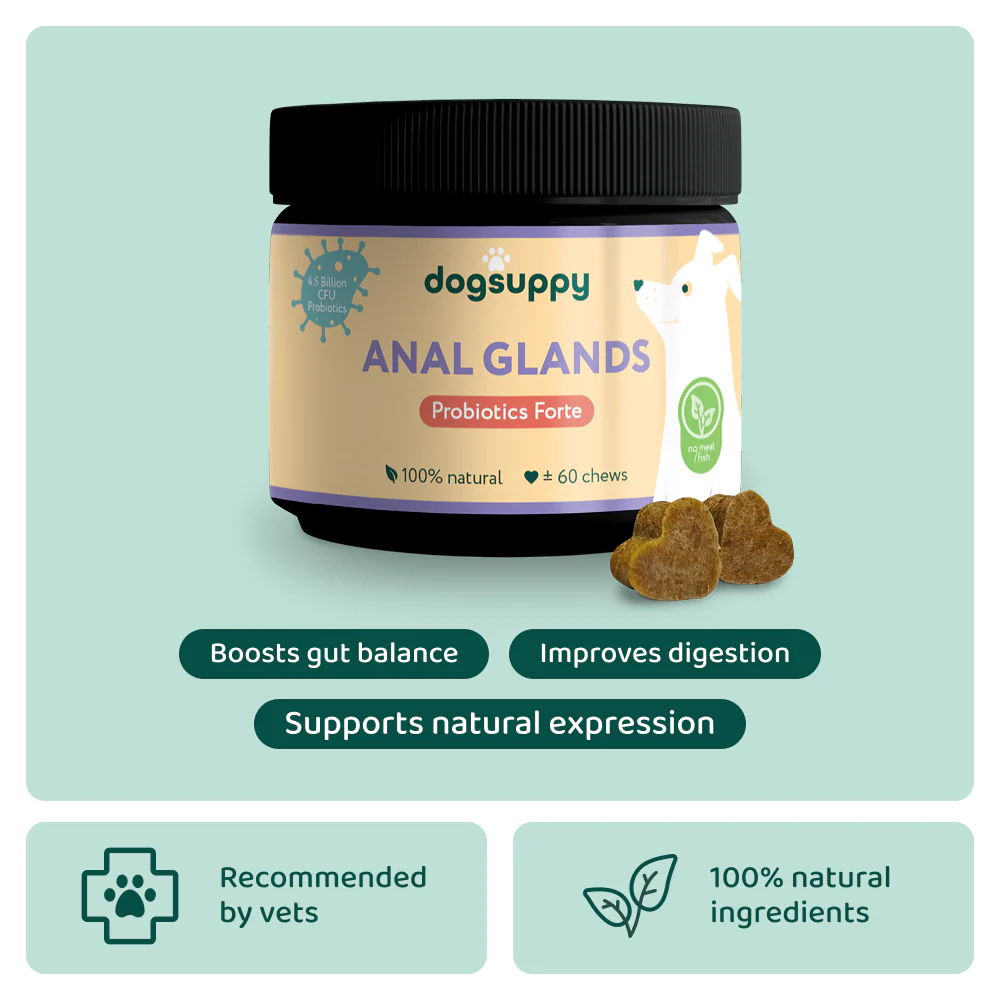 reco engine: Itch Relief