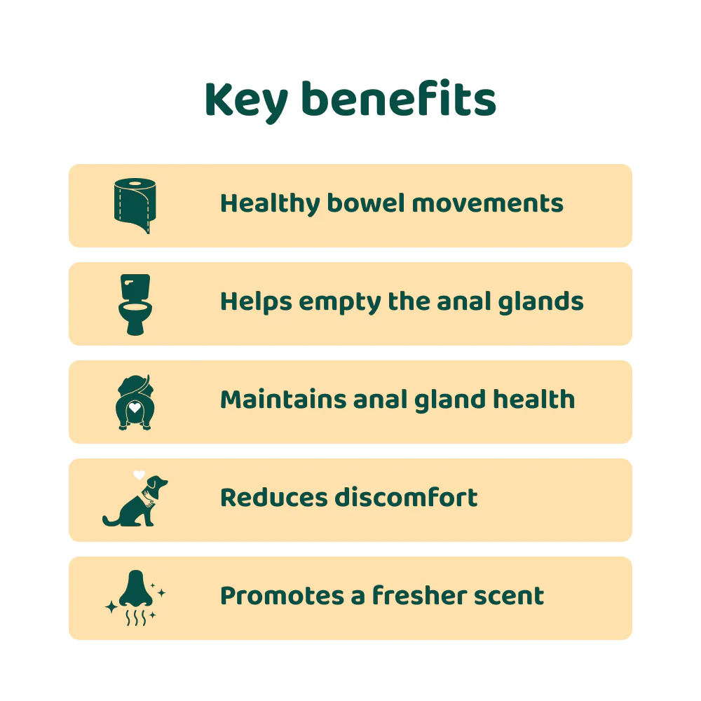 Anal Glands 🌿 100% natural 🫙 60 soft chews - Image 4