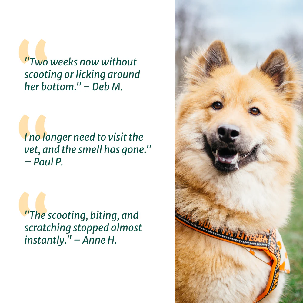 Anal Glands 🌿 100% natural 🫙 60 soft chews - Image 5