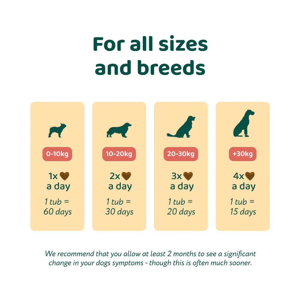 Itch Relief Probiotics Forte 🌿 100% natural 🫙 60 soft chews - Image 4