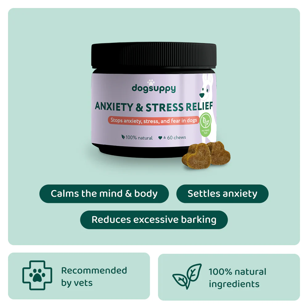 reco engine: LargeDog+ Itch Relief