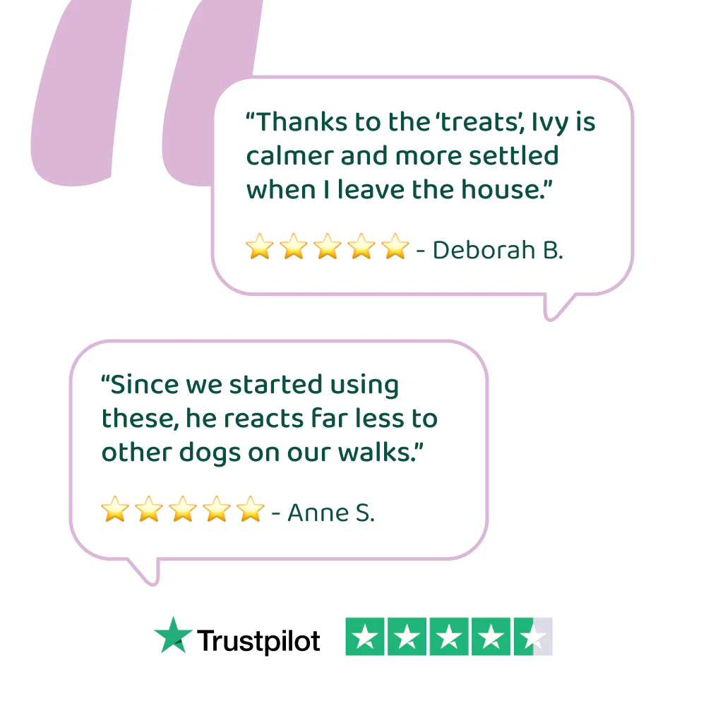 Anxiety & Stress Relief 🌿 100% natural 🫙 60 soft chews - Image 5