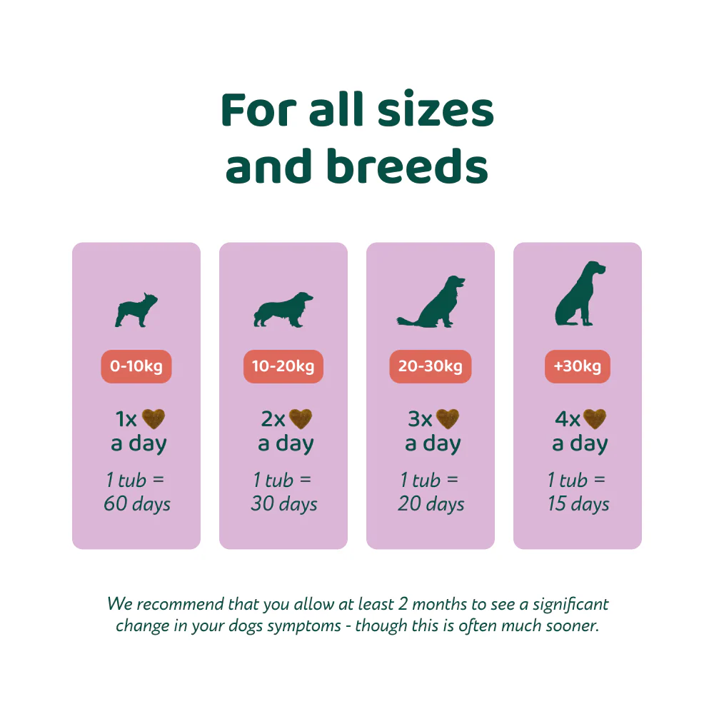 Anxiety & Stress Relief 🌿 100% natural 🫙 60 soft chews - Image 7