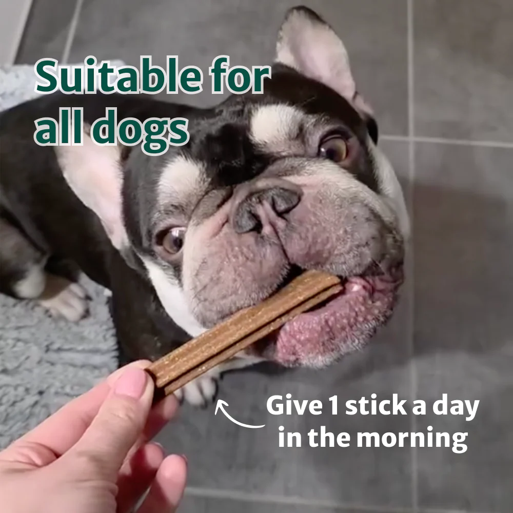 Clean Bite Dental Sticks 🌿 100% natural 5️⃣ 5 sticks - Image 3