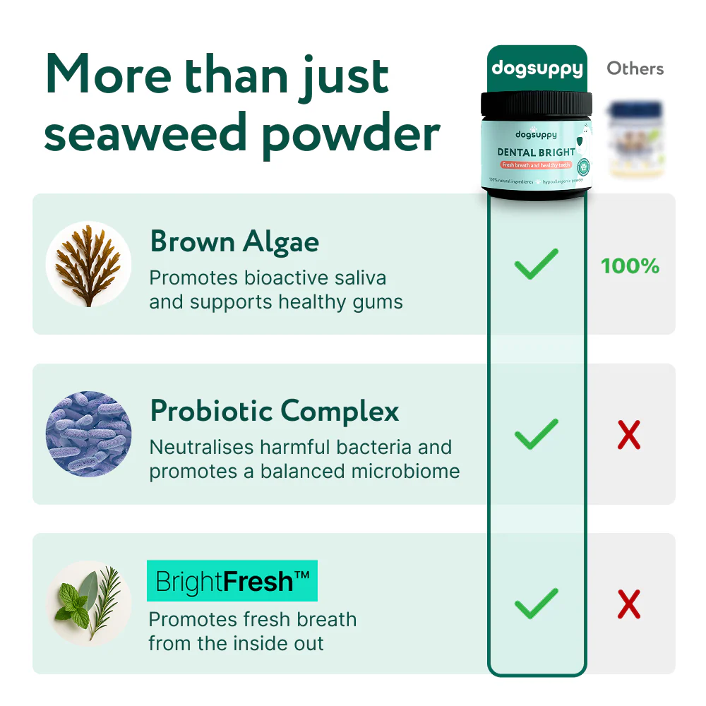 Dental Bright™ 🌿 100% natural 🫙 60 scoops - Image 3