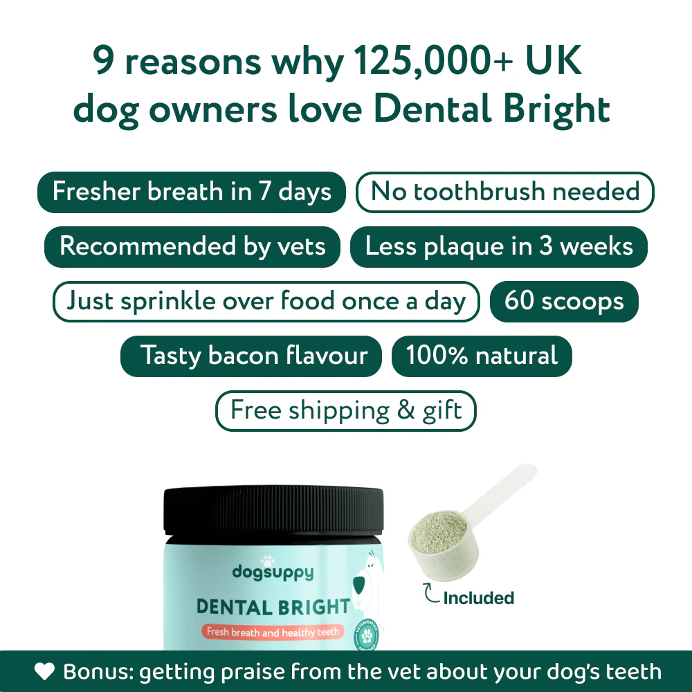 Dental Bright™ 🌿 100% natural 🫙 60 scoops - Image 6