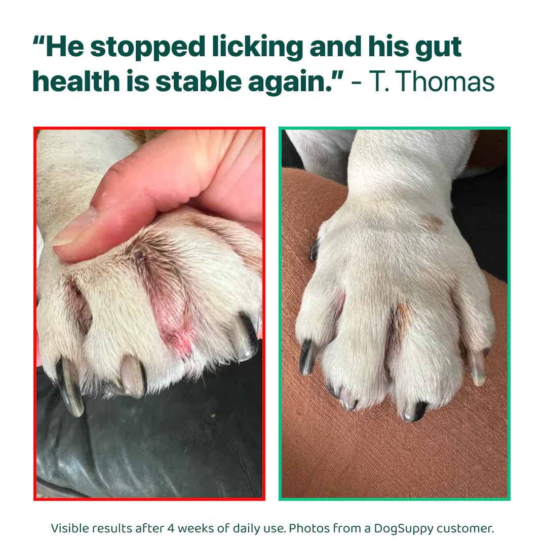 Itch Relief™ Cold-Pressed - Image 10