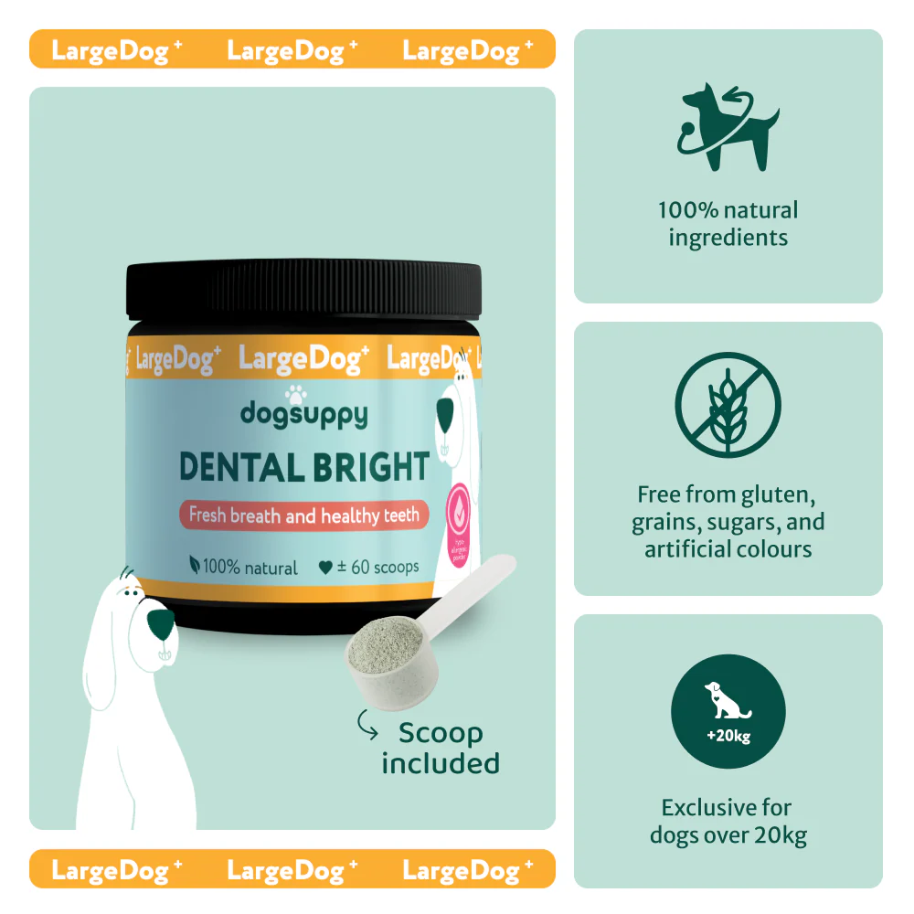 reco engine: Dental Bright
