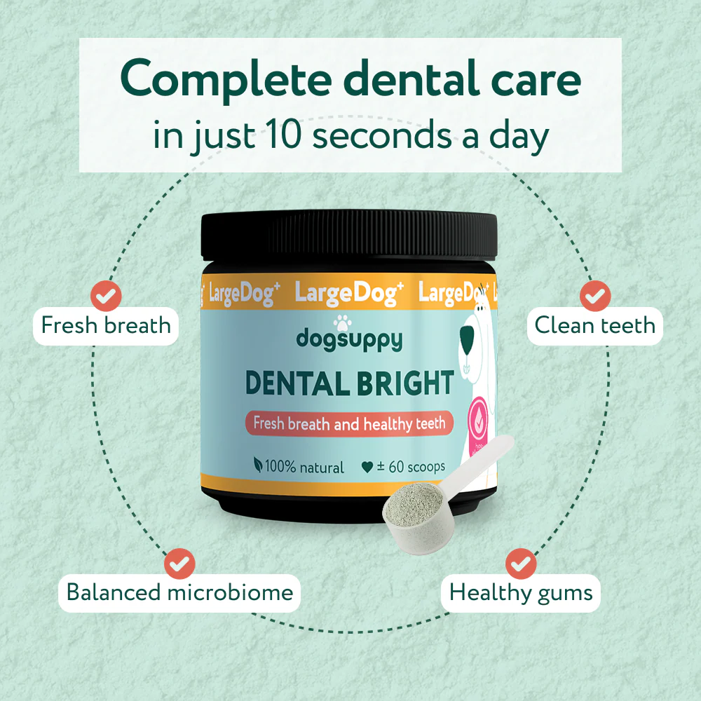 LargeDog⁺ Dental Bright™ 🌿 100% natural 🫙 60 scoops - Image 13