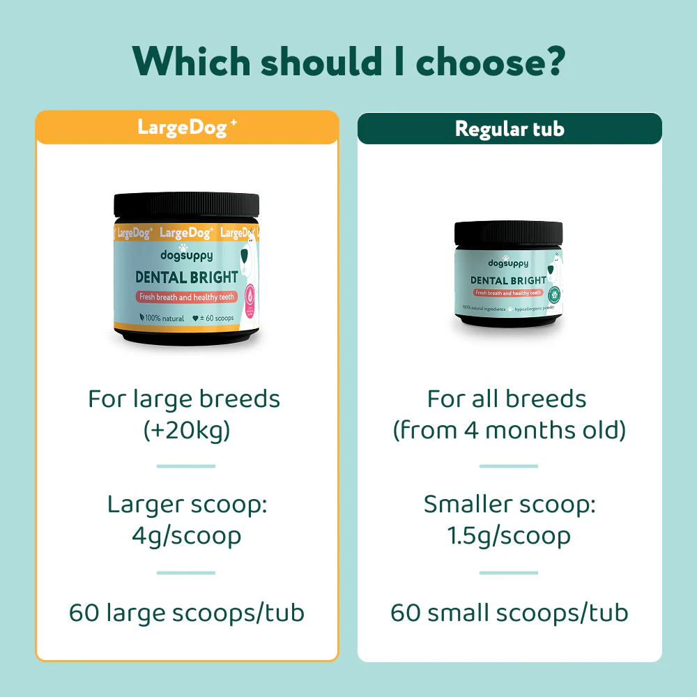 LargeDog⁺ Dental Bright™ 🌿 100% natural 🫙 60 scoops - Image 3