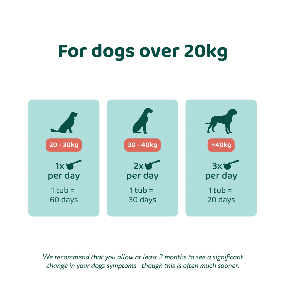 LargeDog⁺ Dental Bright™ 🌿 100% natural 🫙 60 scoops - Image 4