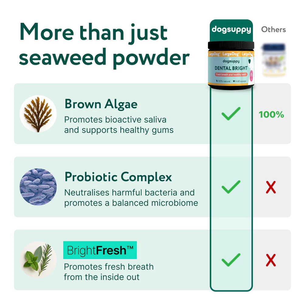 LargeDog⁺ Dental Bright™ 🌿 100% natural 🫙 60 scoops - Image 6