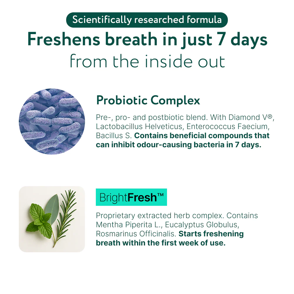 LargeDog⁺ Dental Bright™ 🌿 100% natural 🫙 60 scoops - Image 7