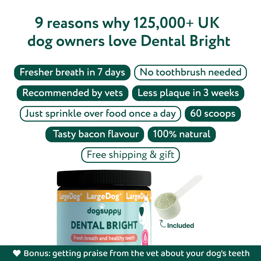LargeDog⁺ Dental Bright™ 🌿 100% natural 🫙 60 scoops - Image 8