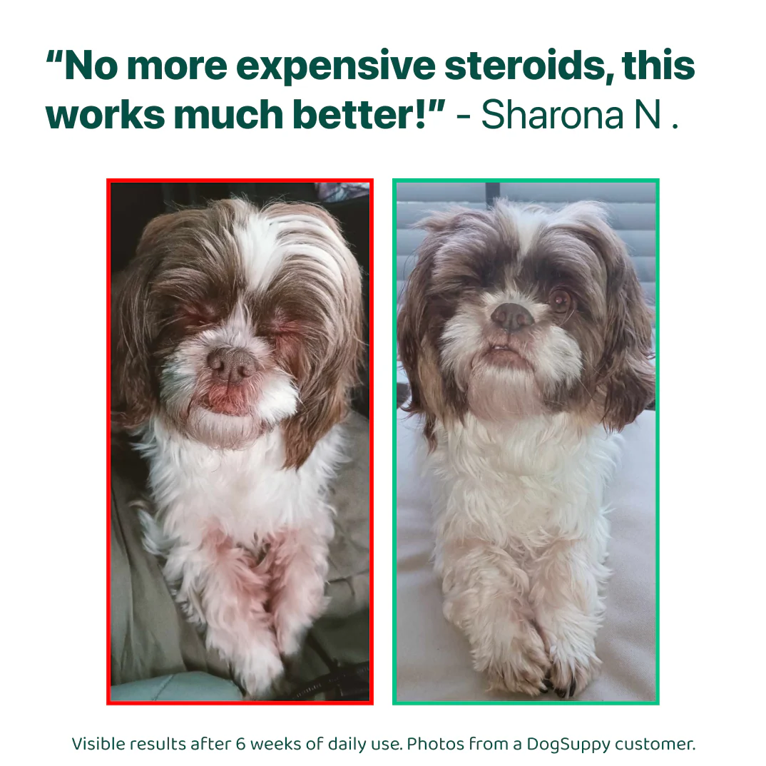 LargeDog⁺ Itch Relief Probiotics Forte 🌿 100% natural 🫙 90 soft chews - Image 13