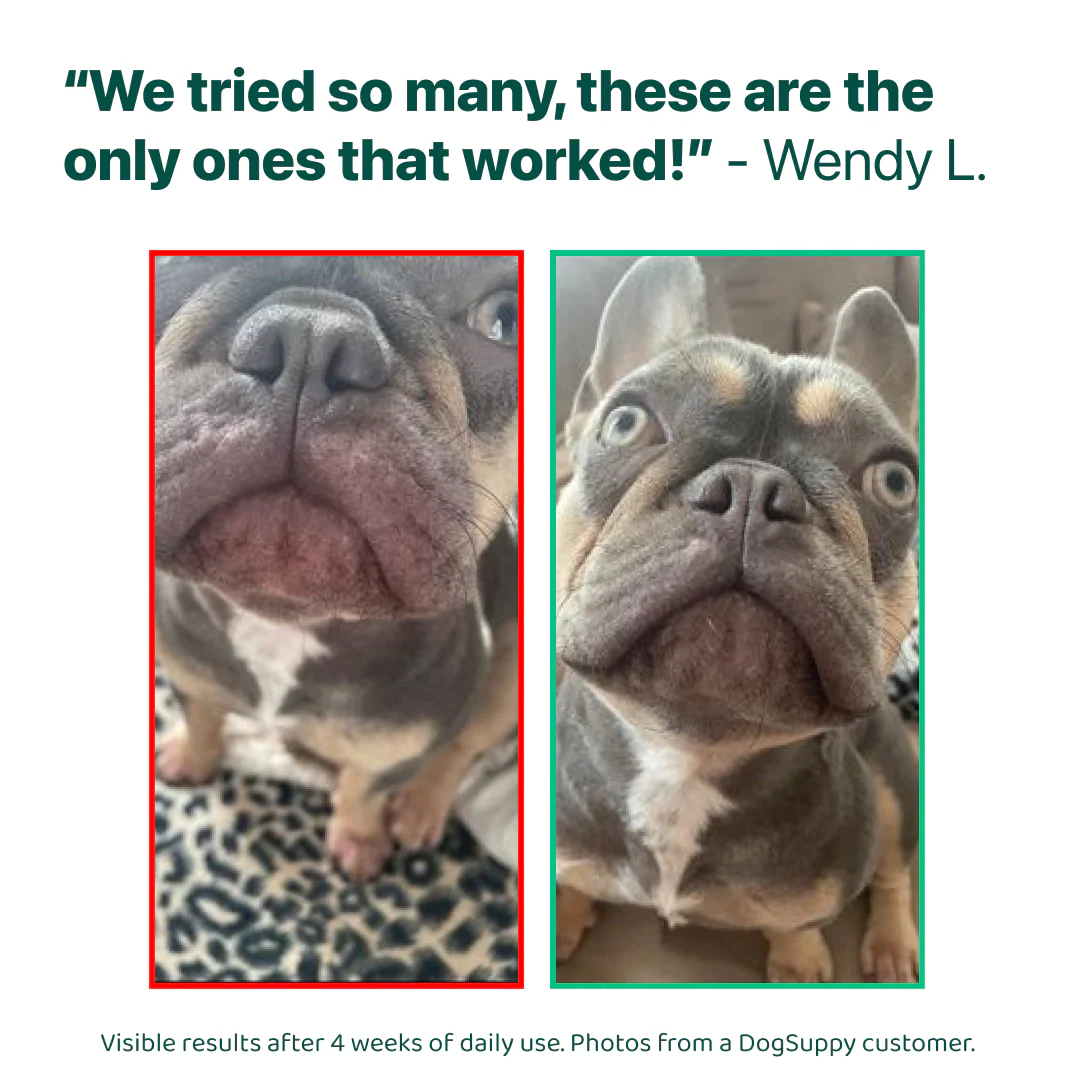 LargeDog⁺ Itch Relief Probiotics Forte 🌿 100% natural 🫙 90 soft chews - Image 15