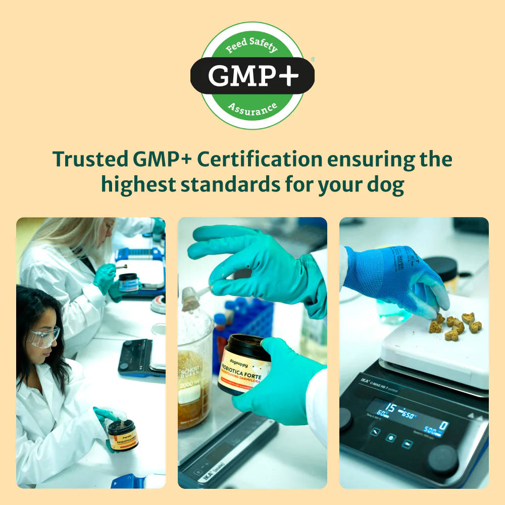 LargeDog⁺ Itch Relief Probiotics Forte 🌿 100% natural 🫙 90 soft chews - Image 16