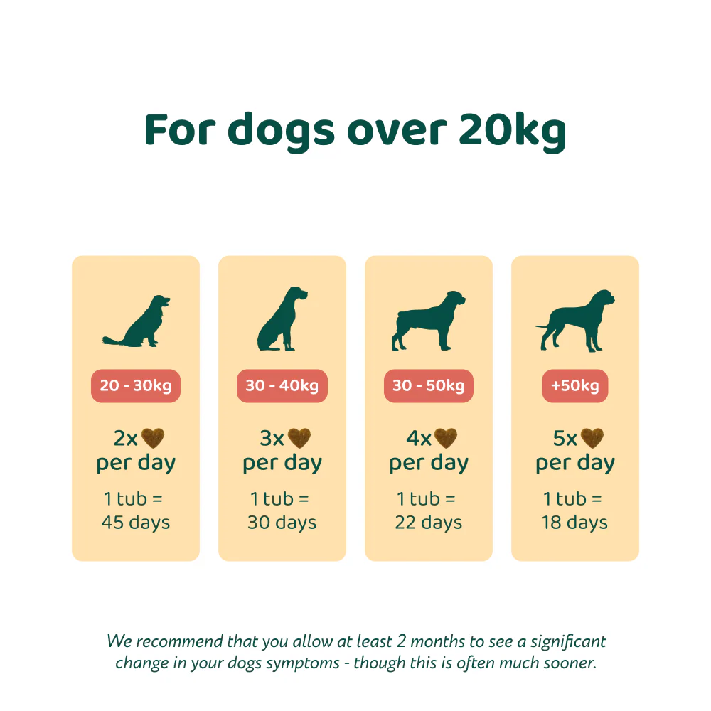 LargeDog⁺ Itch Relief Probiotics Forte 🌿 100% natural 🫙 90 soft chews - Image 4