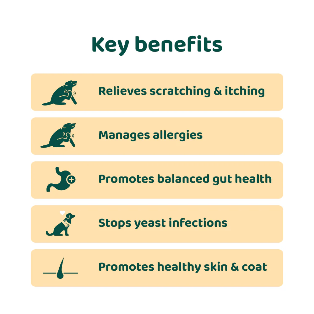 LargeDog⁺ Itch Relief Probiotics Forte 🌿 100% natural 🫙 90 soft chews - Image 6