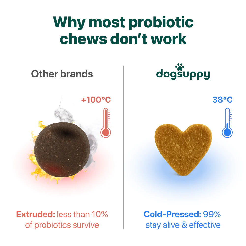 LargeDog⁺ Itch Relief Probiotics Forte 🌿 100% natural 🫙 90 soft chews - Image 7