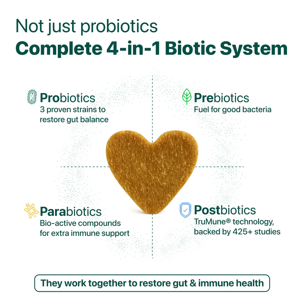 LargeDog⁺ Itch Relief Probiotics Forte 🌿 100% natural 🫙 90 soft chews - Image 8