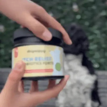 LargeDog⁺ Itch Relief Probiotics Forte 🌿 100% natural 🫙 90 soft chews - Image 9