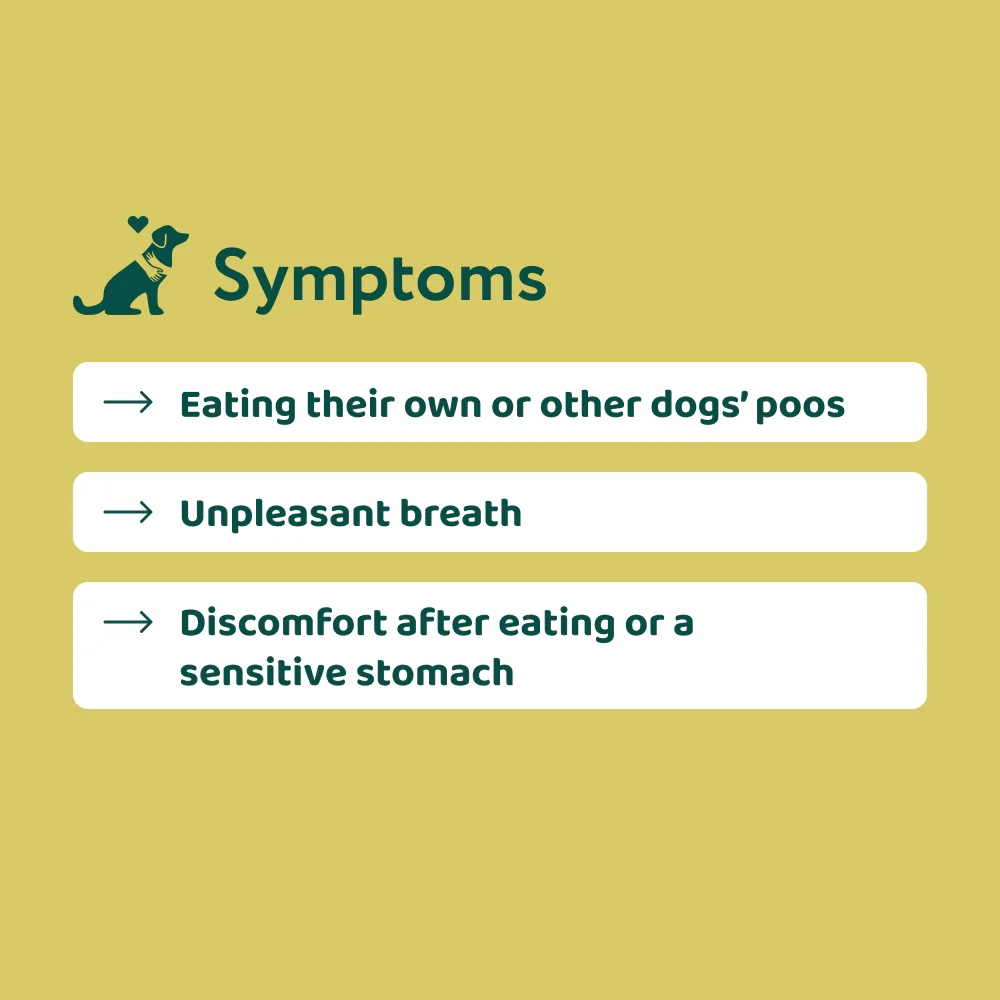 No Poo Eating - Image 3