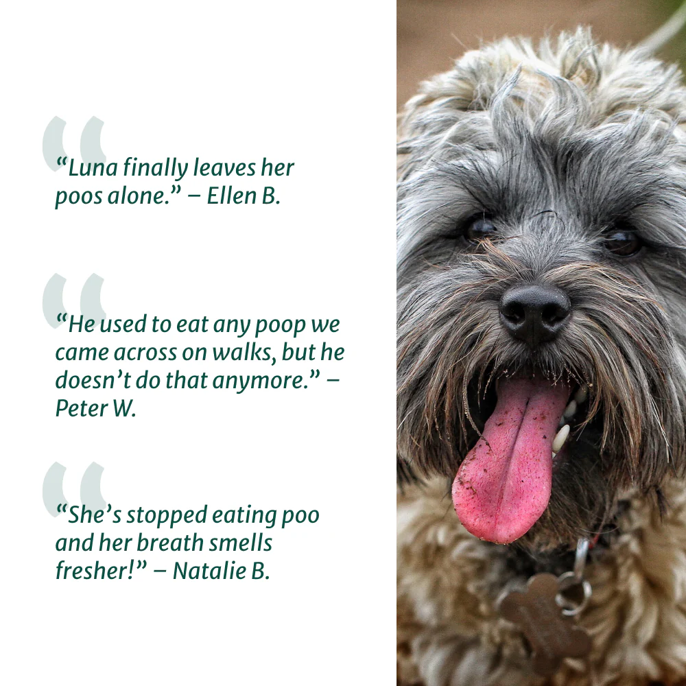 No Poo Eating - Image 5