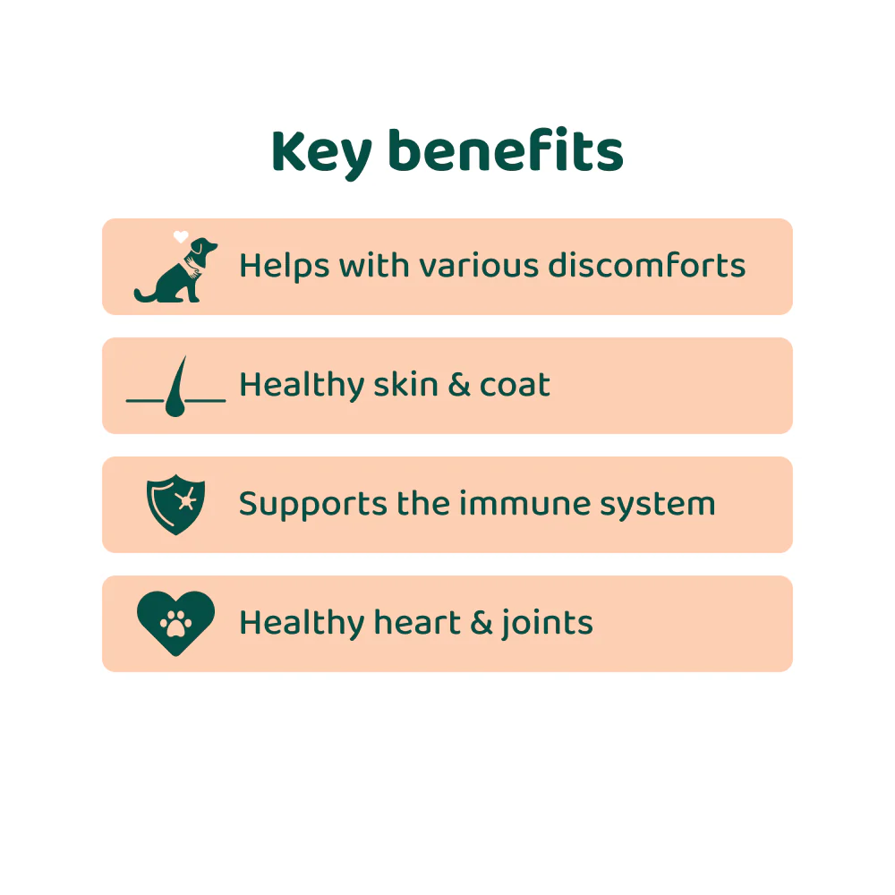 Salmon Oil 🌿 100% natural💧100mL - Image 3