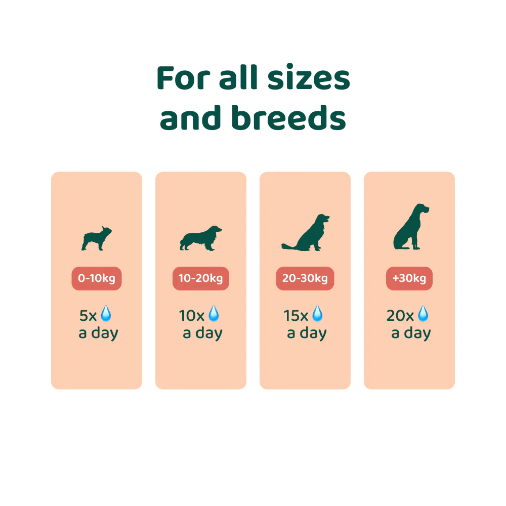 Salmon Oil 🌿 100% natural💧100mL - Image 4