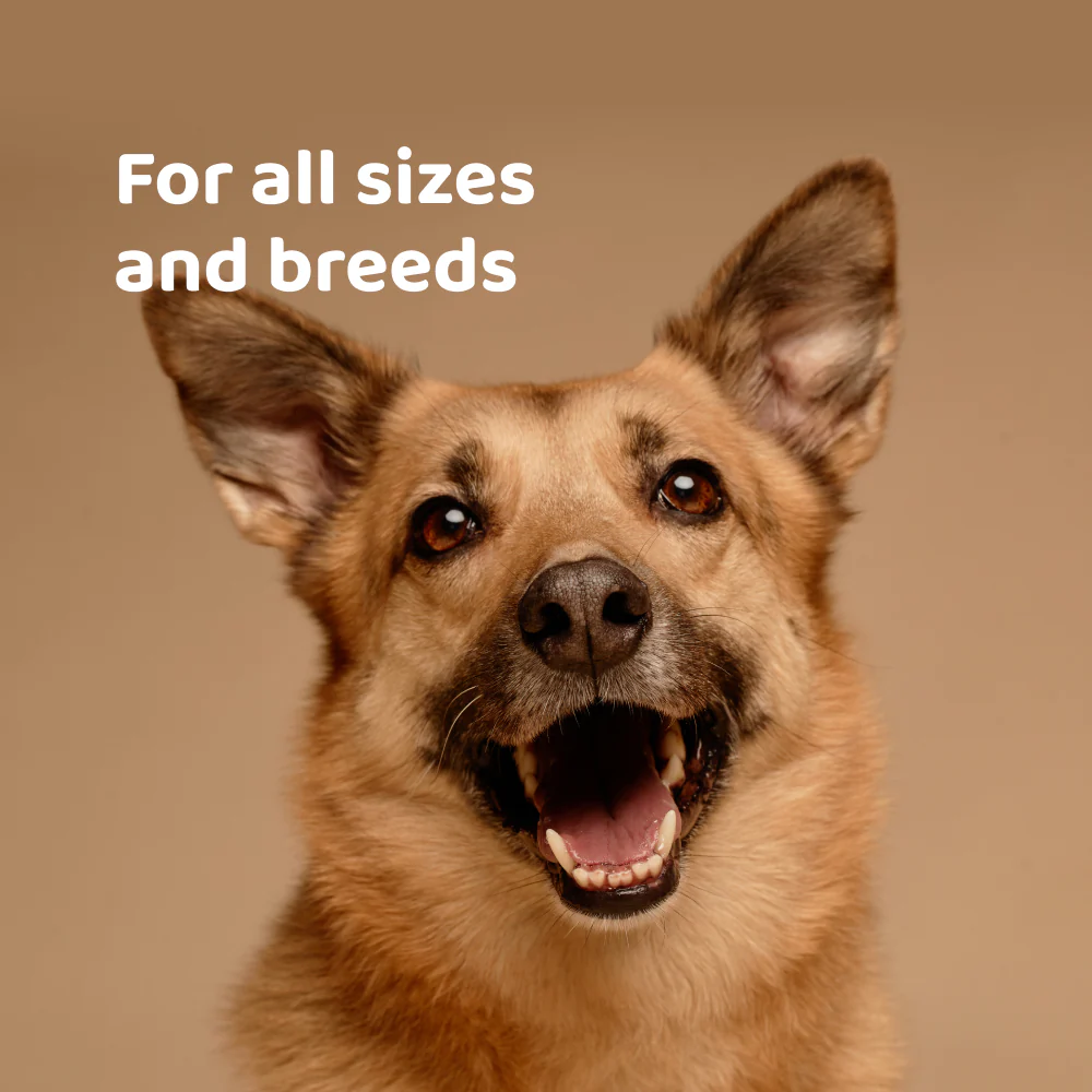 Vitamin Boost 🌿 100% natural 🫙 60-70 treats - Image 4